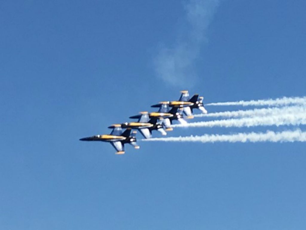Blues Sometimes they fly over at eye level to the balcony, free air shows Pensacola