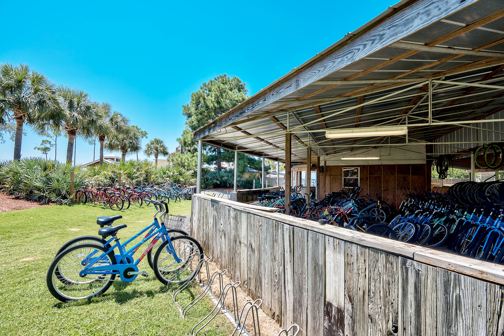 Bike rental