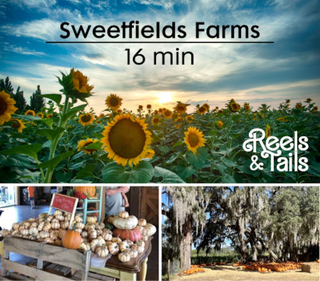 Sweetfields Farms 16 minute drive. Visit this organic farm for U-Pick crops, farm animals, and special events like sunflower mazes
