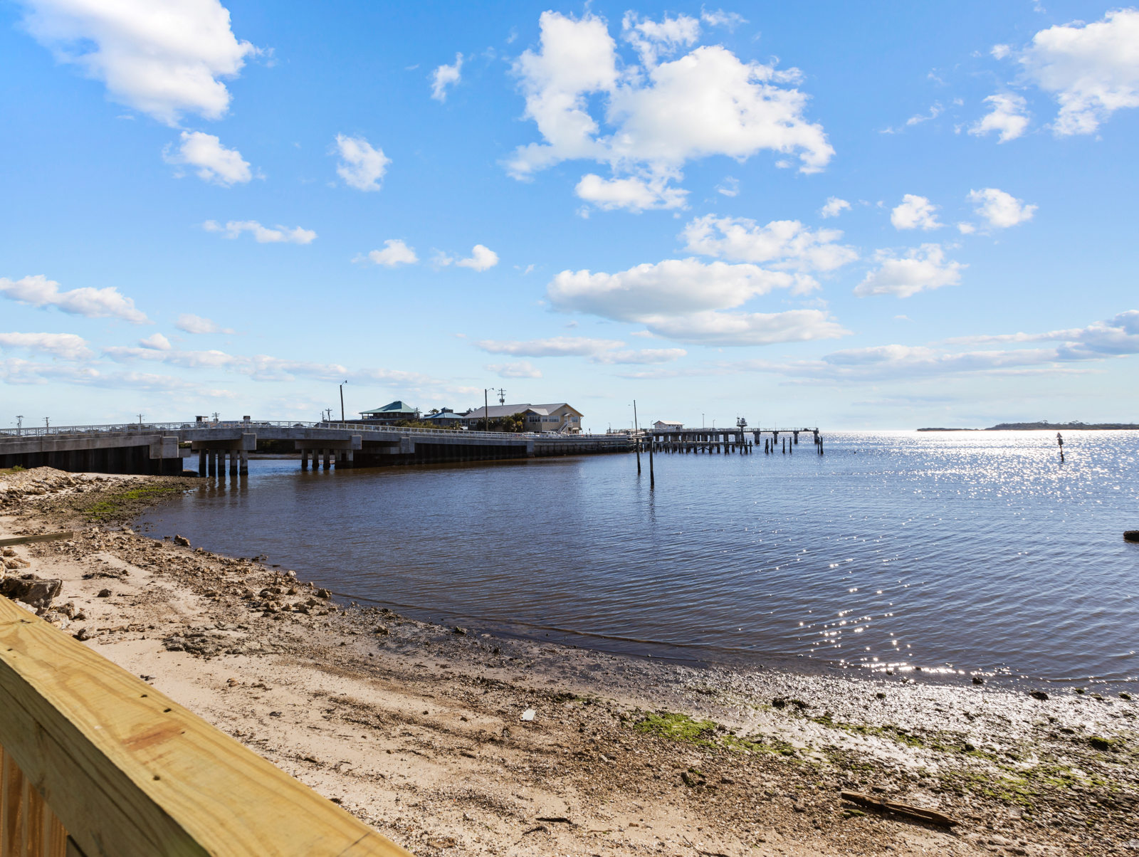 Life on the Water's Edge