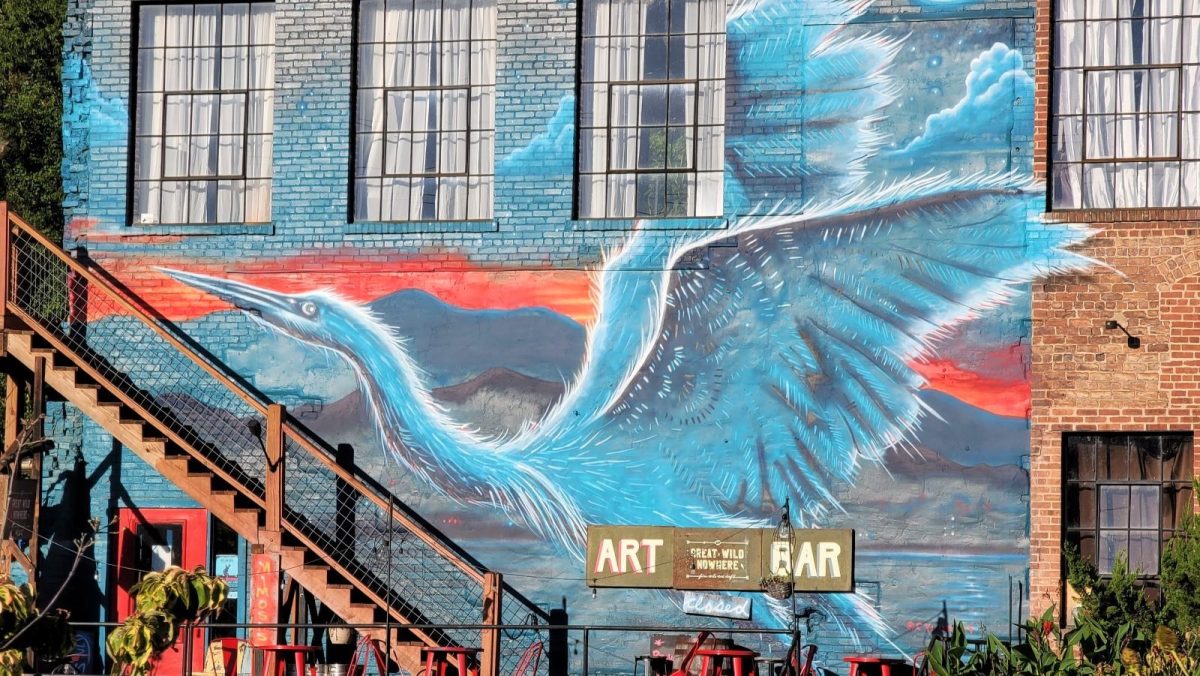 🎨 Explore Asheville’s creative heart! The River Arts District is full of artist studios, colorful murals, and unique galleries — perfect for inspiration and a leisurely stroll. ✨🖌️