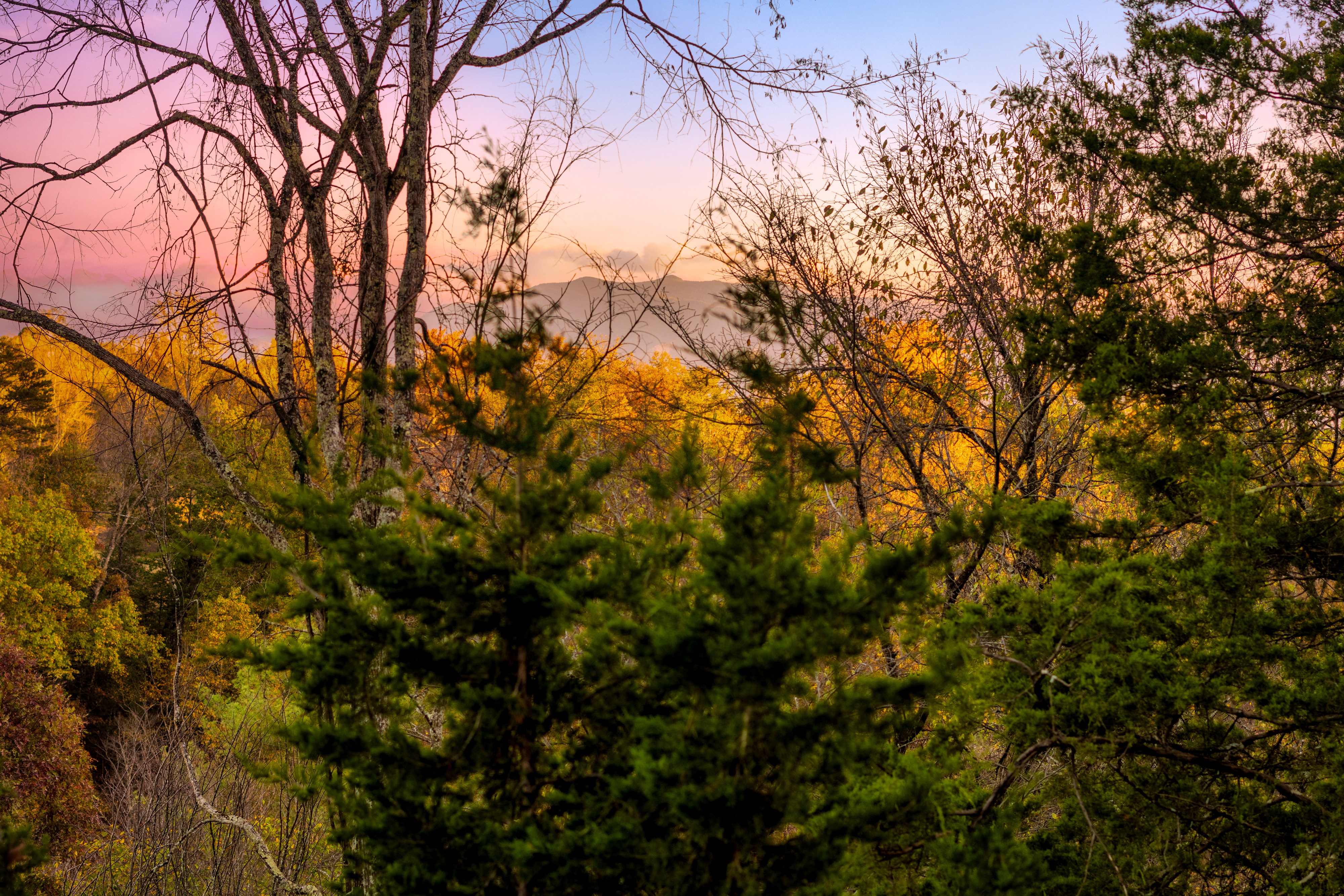 View 8