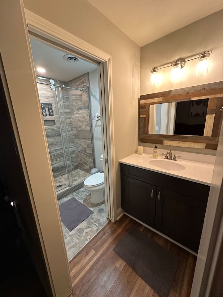 Bathroom in basement area