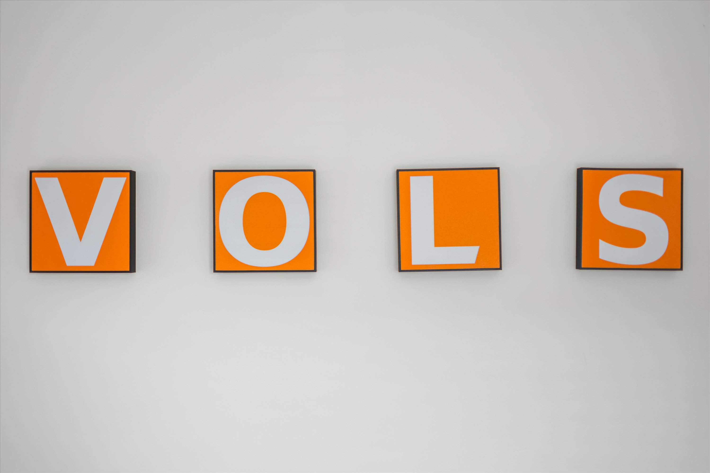 V-O-L-S!  GO VOLS GO!