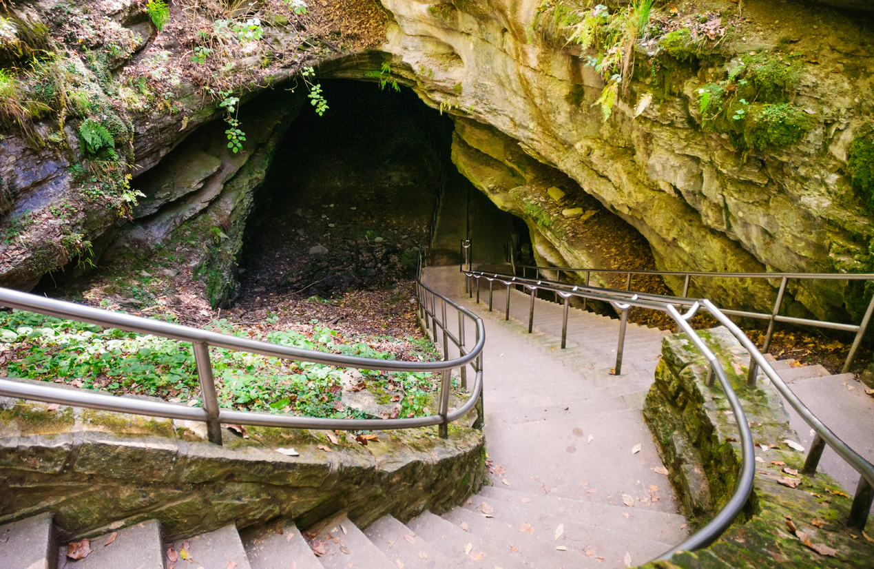 Embark on a journey to Mammoth Cave National Park for an unforgettable adventure. A treasure trove of natural wonders is waiting for you!
