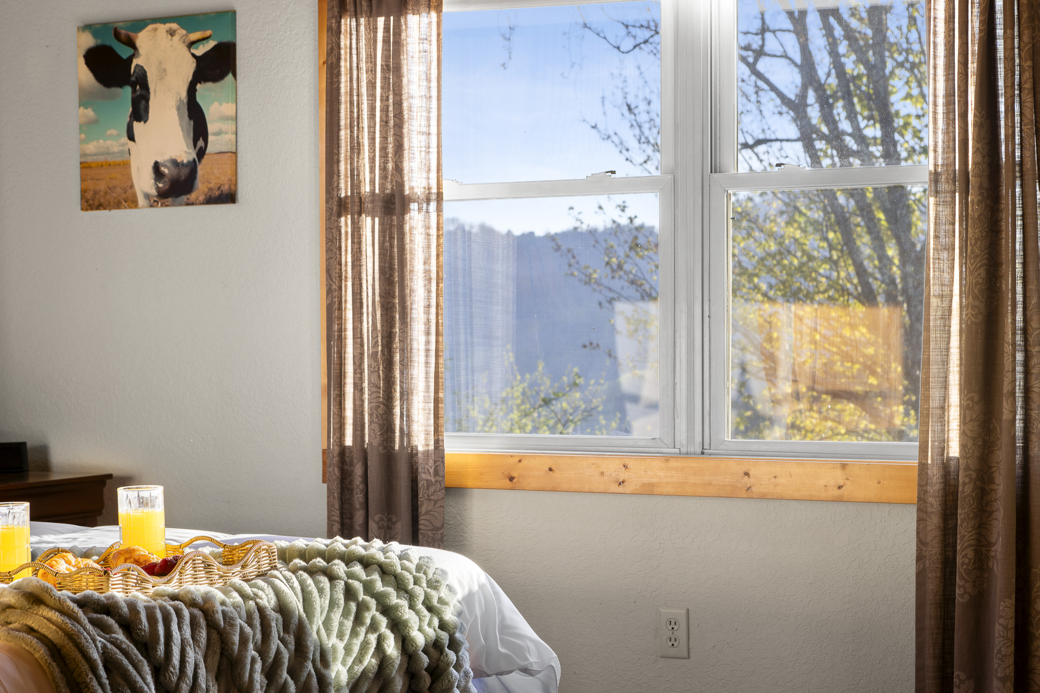 Sunny Escape: Enjoy morning views with a delightful breakfast in this charming room!