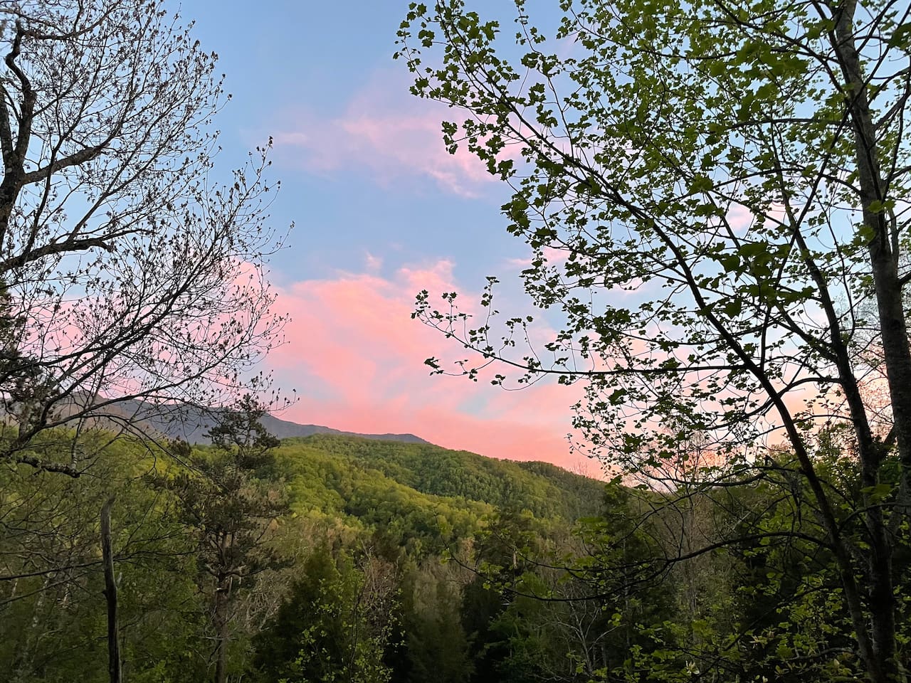 View from the rear balcony