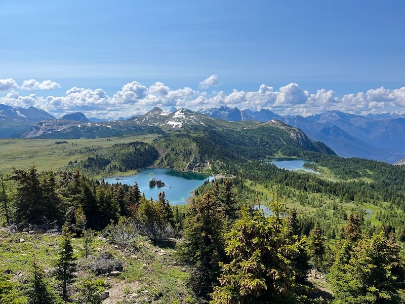 Sunshine Meadows - perfect for a hike!
