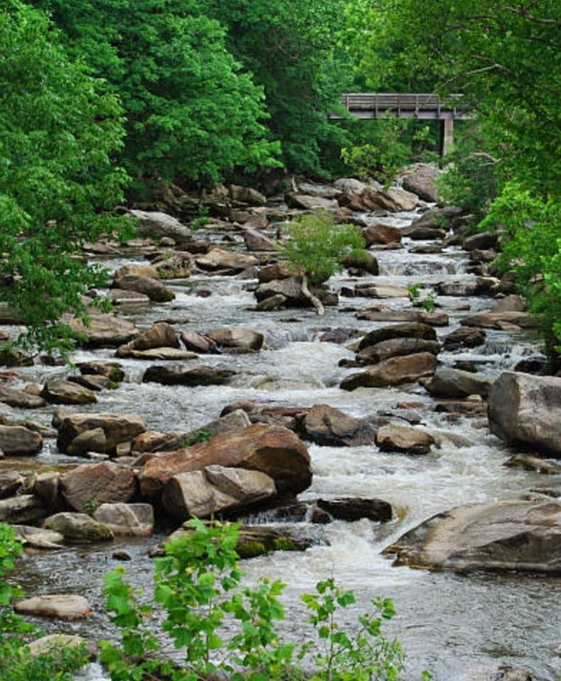 Explore the river!
