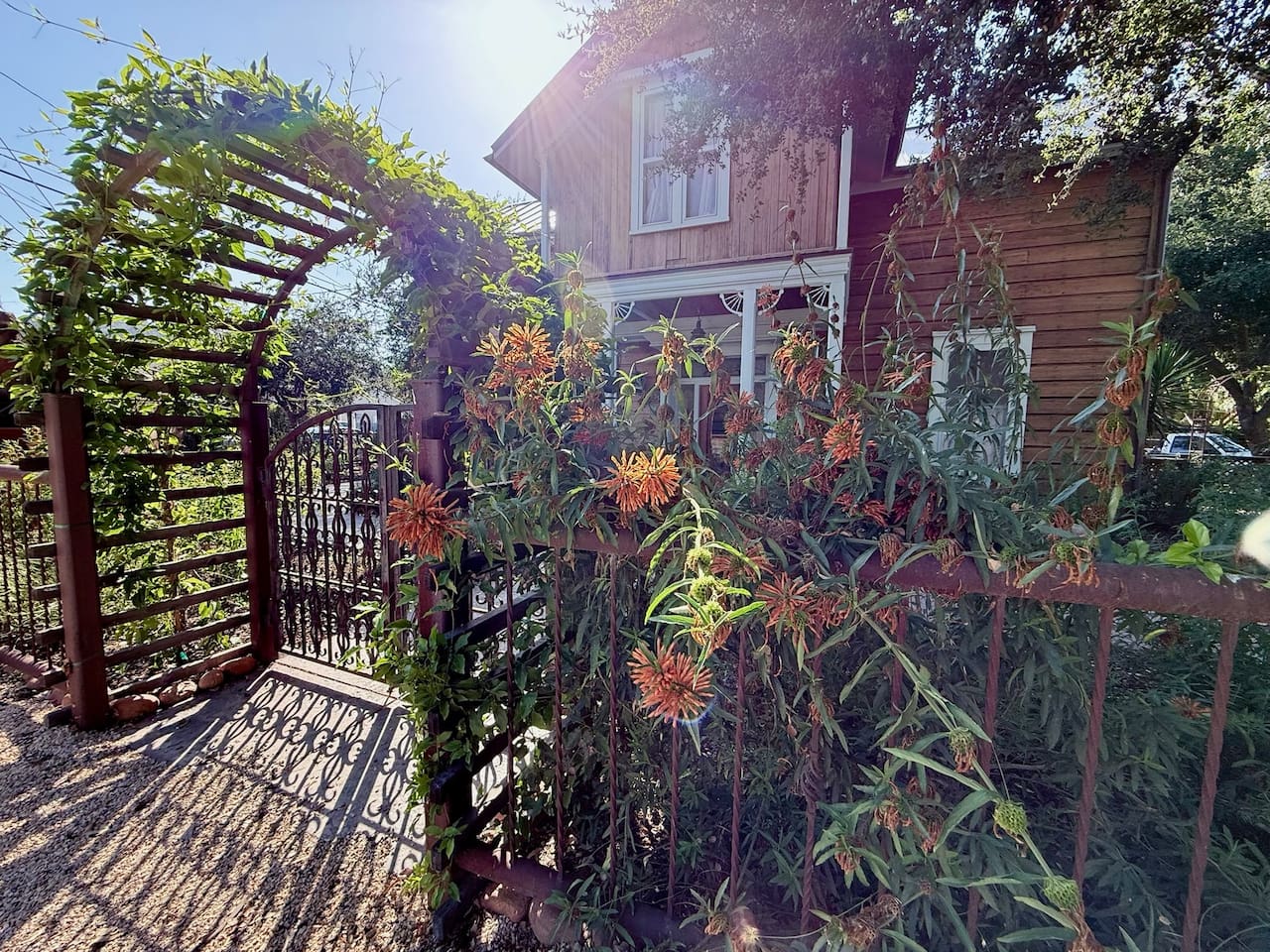 Enter through antique wrought-iron gates beneath a rambling trumpet-vine arbor. Native, drought-wise plantings soften the historic house and courtyard—a garden designed to grow wilder, richer and more beautiful with time.