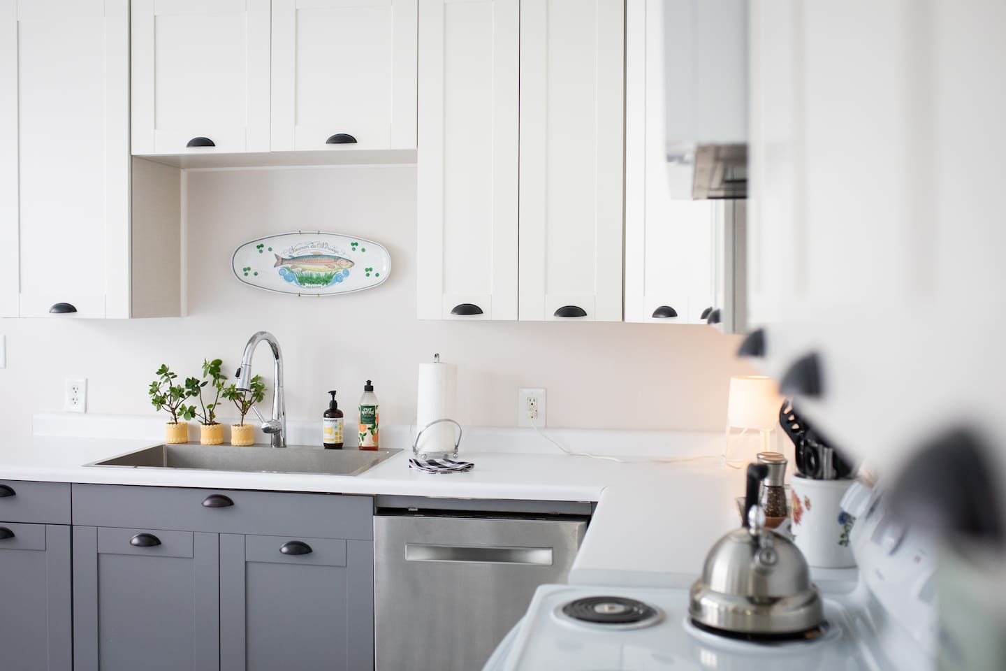 Clean, uncluttered prep space with modern sink, dishwasher, and generous counter space for everyday cooking. 