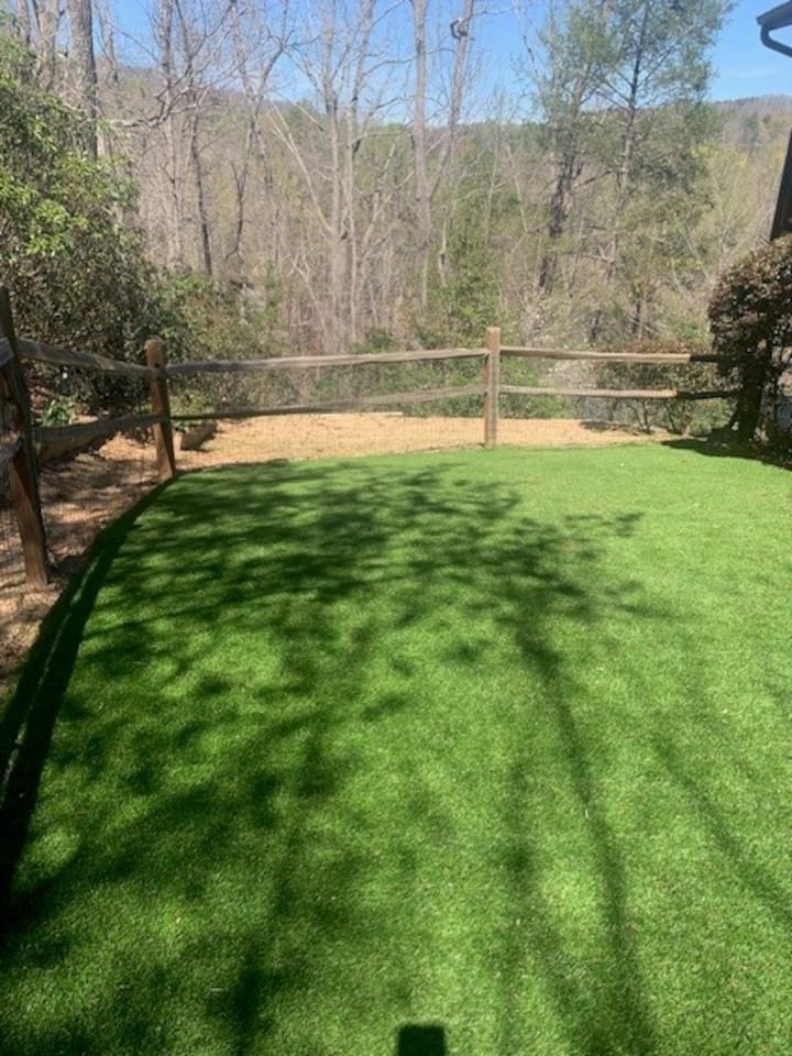 Back yard