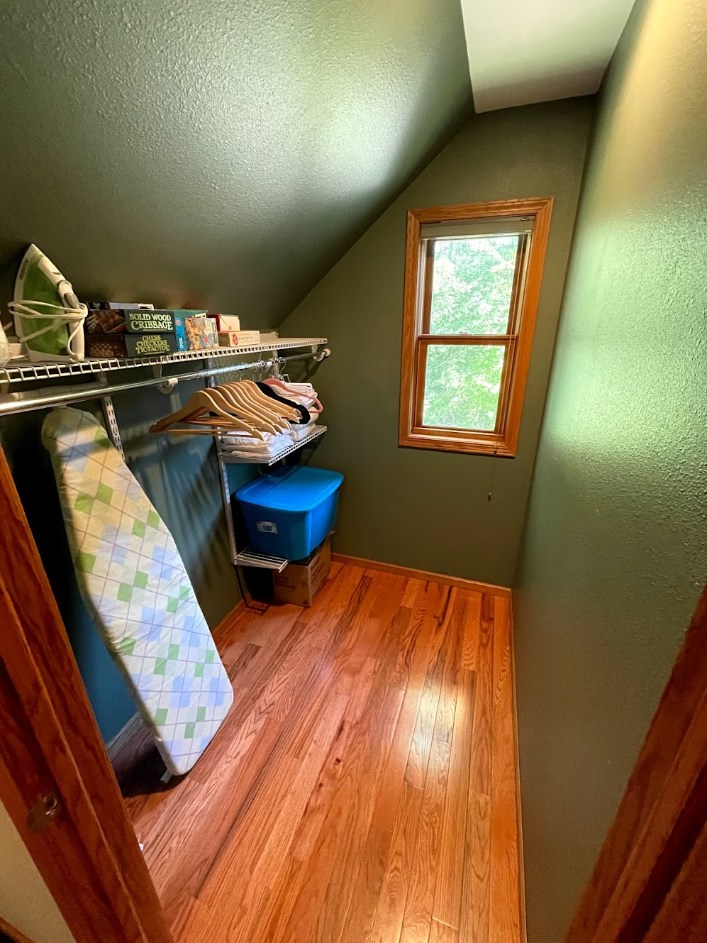 large walk in closet- hangers iron board games