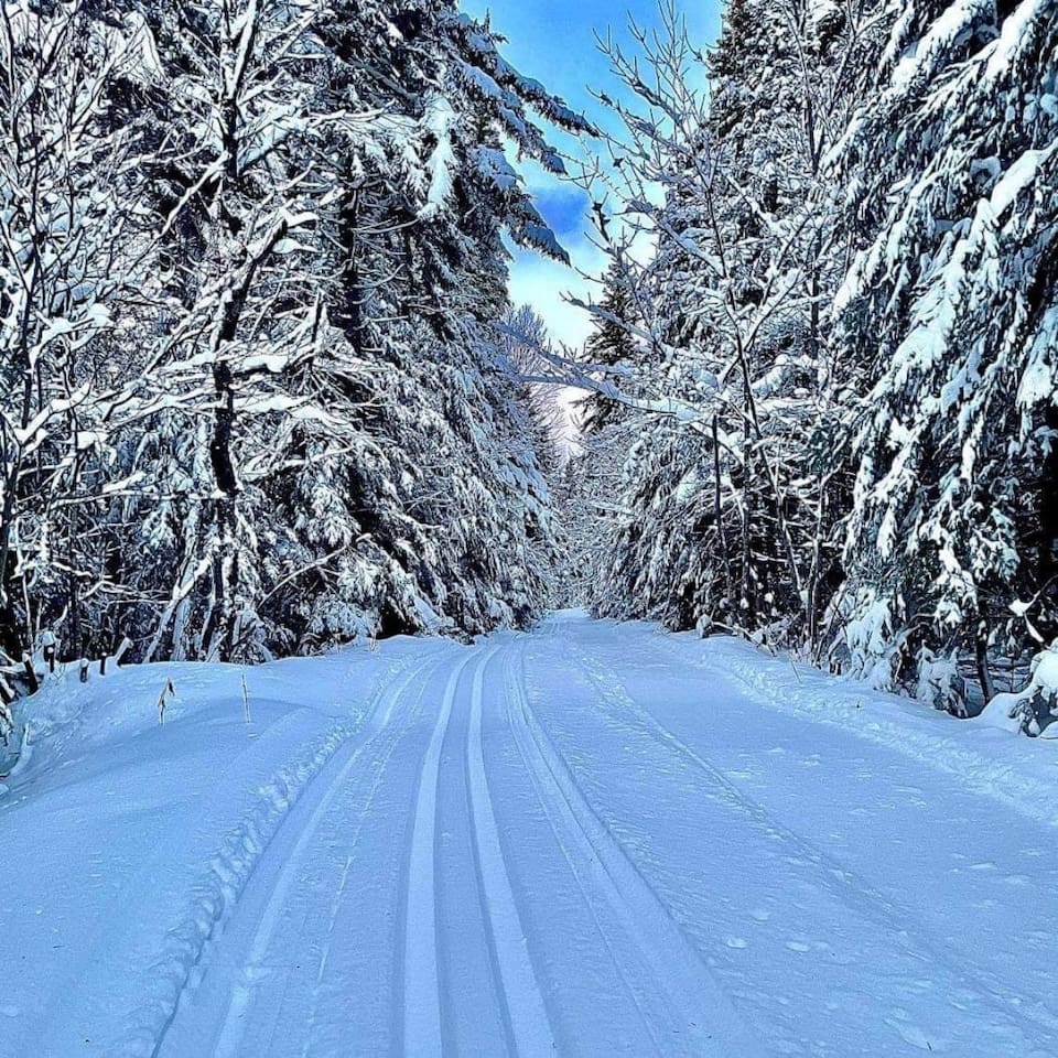 Ski de fond situé à Notre-Dame-du-Rosaire, le site des Sentiers de l'inconnu offre un circuit de 10 km de ski de fond classique dans un décor enchanteur.