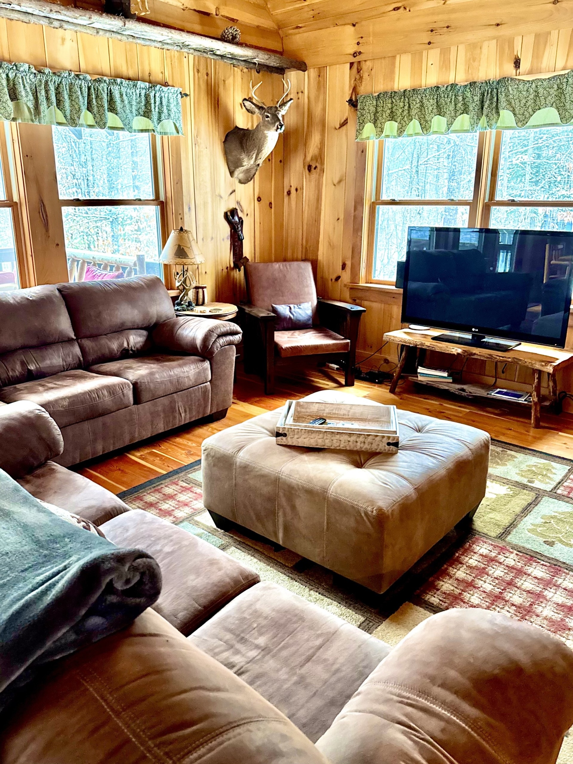 Comfortable living room includes a sofa bed.