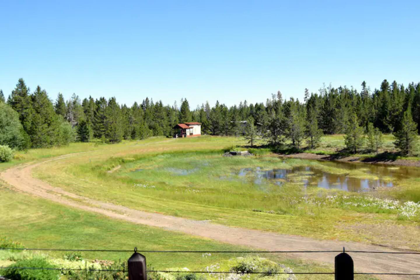 Front of cabin. Pond in summer season.