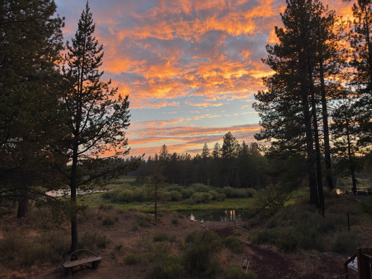 Dramatic Sunsets!