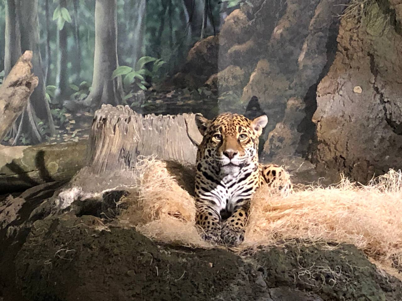 Short walk to Milwaukee County Zoo Entrance 
