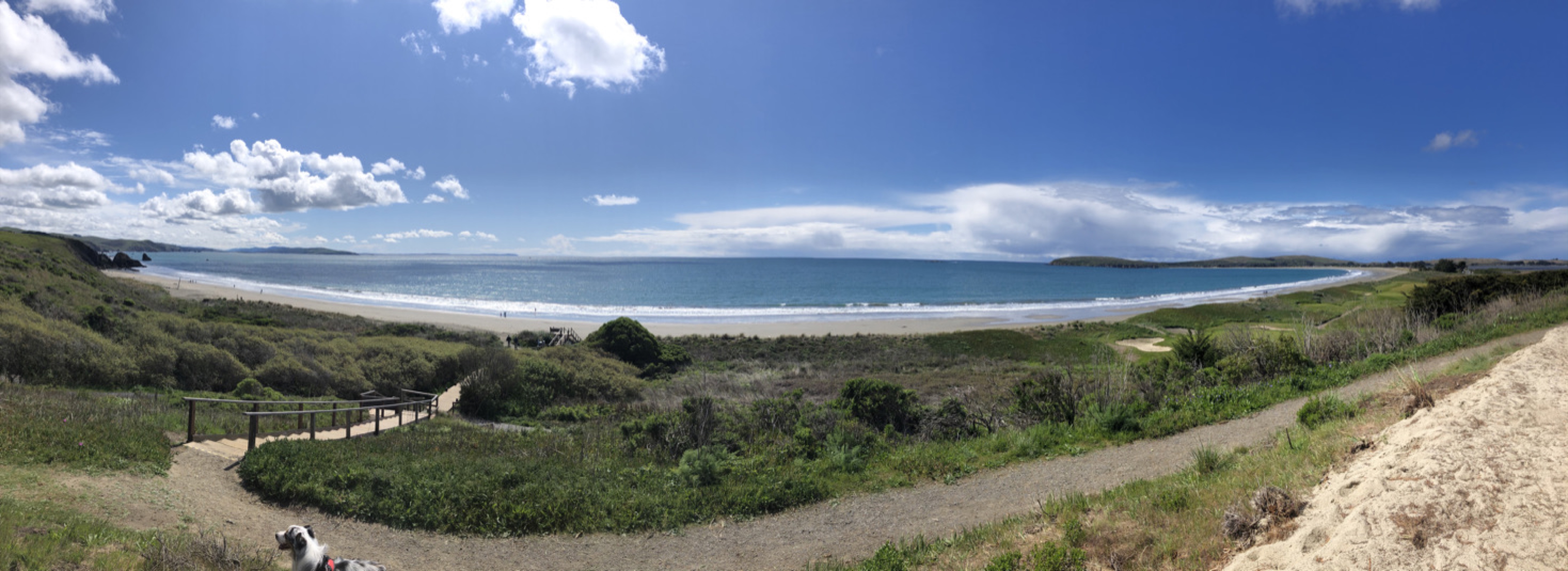 Sunny panorama of the beach and coastal dunes beneath a blue sky