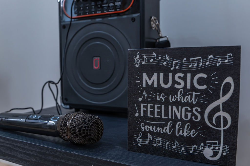 Sing your heart out with our Karaoke Machine!