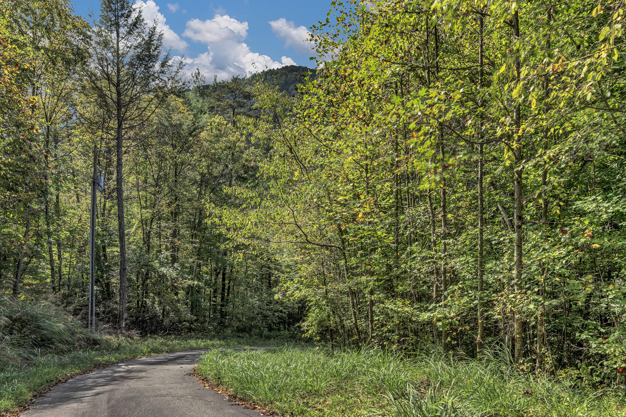 View of from the driveway