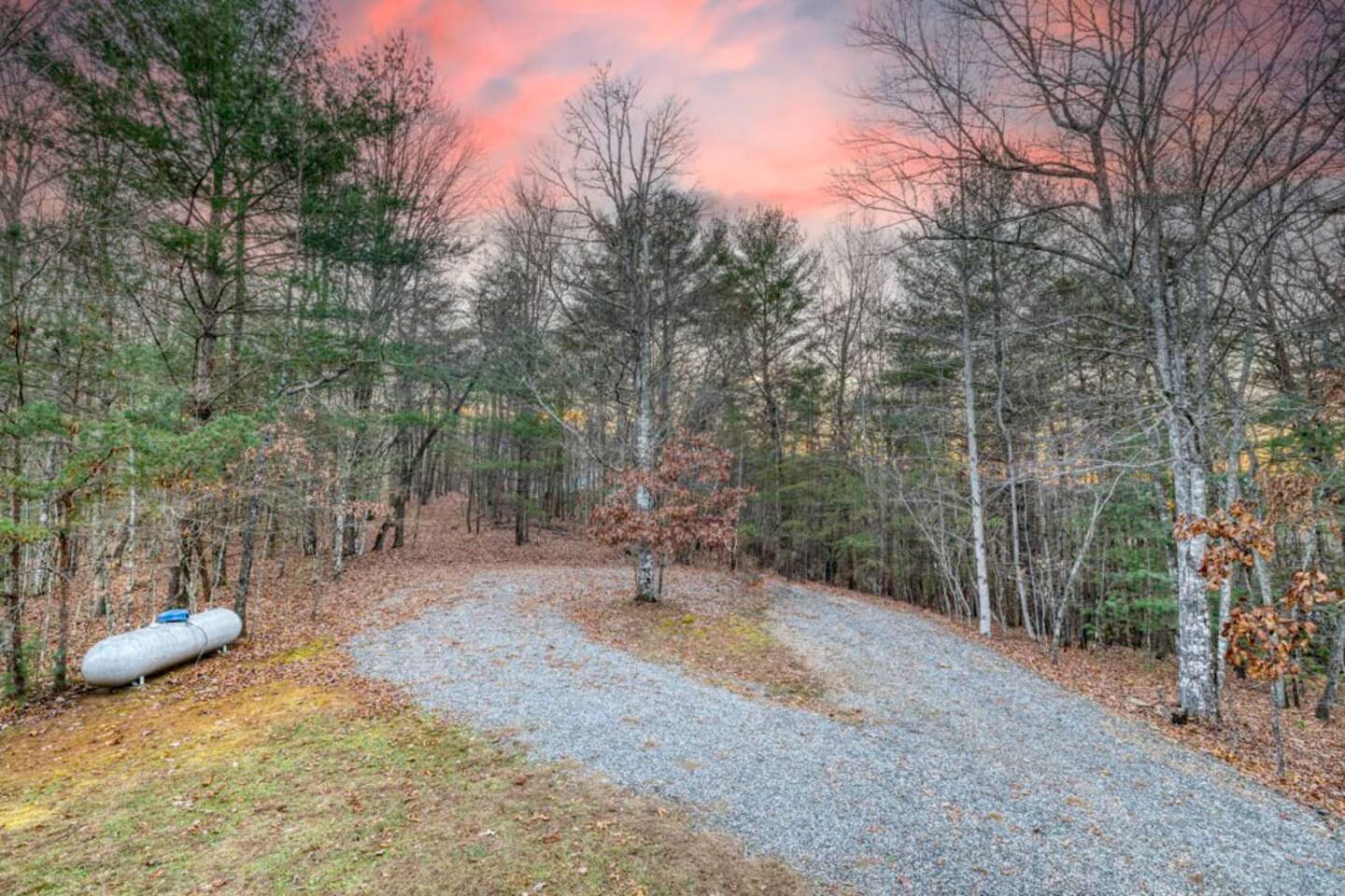 Exterior photo of the house surrounded by trees, showcasing a serene natural setting.