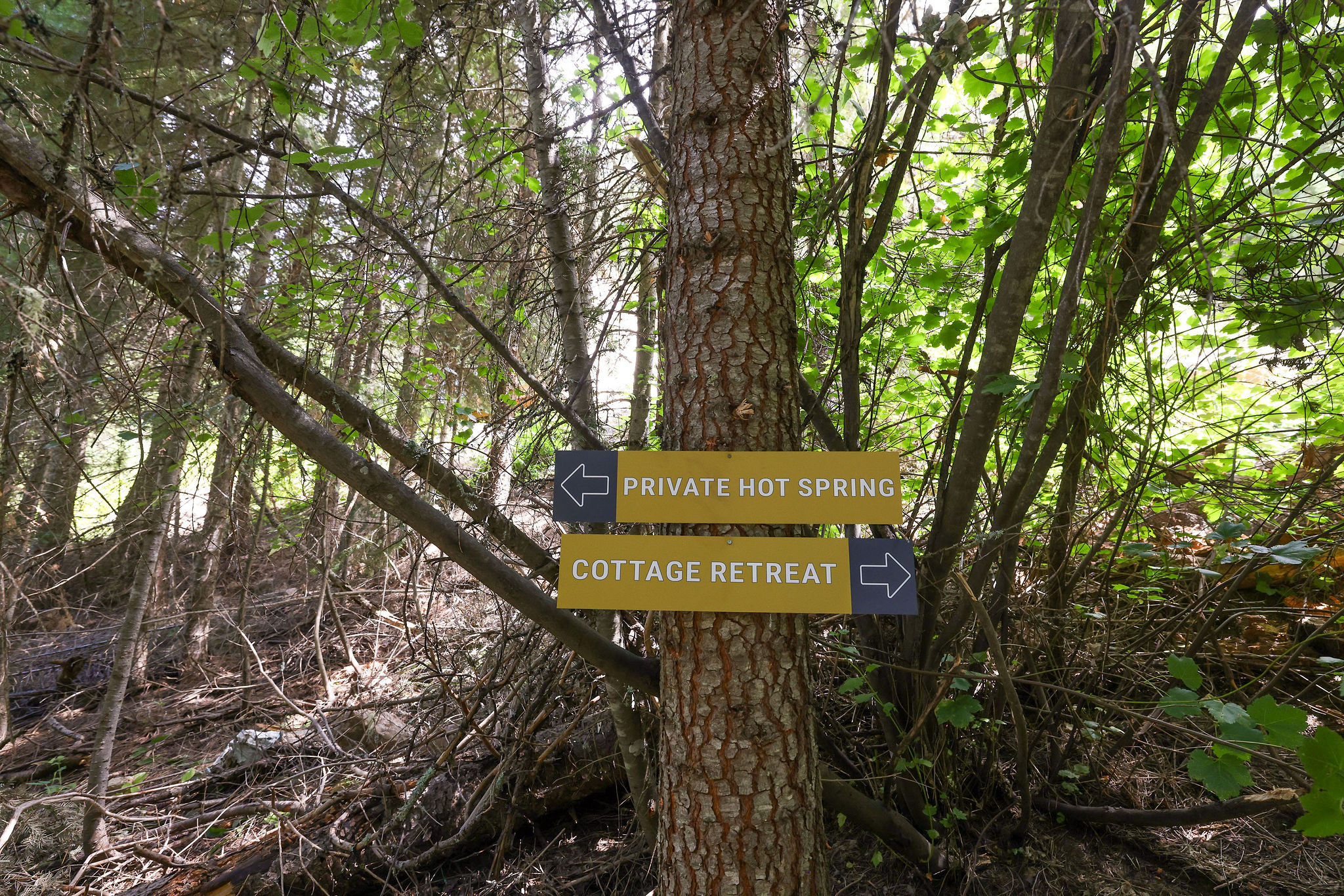 Signs will help guide you