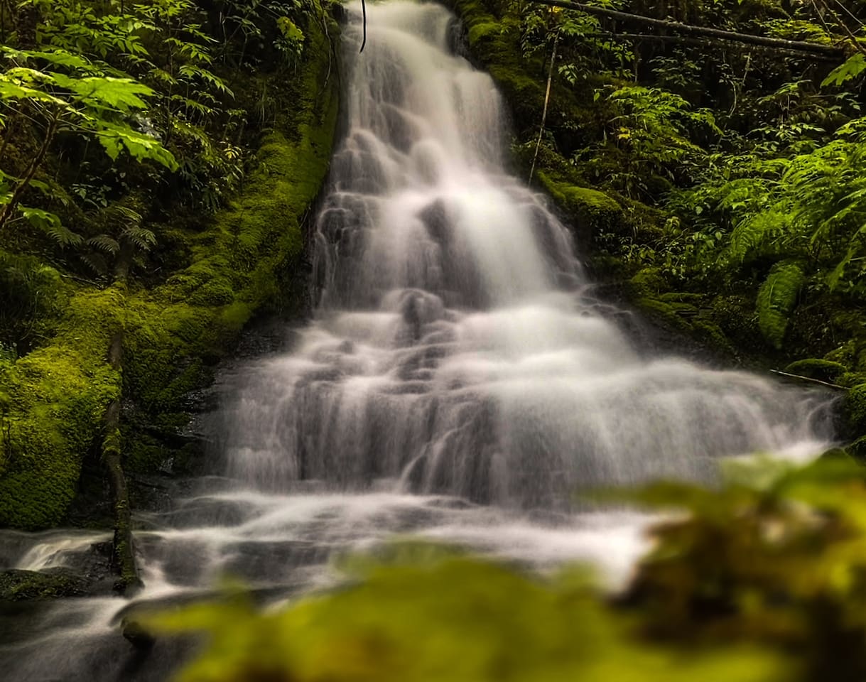 This gem of a hidden waterfall is a short walk from the house. 