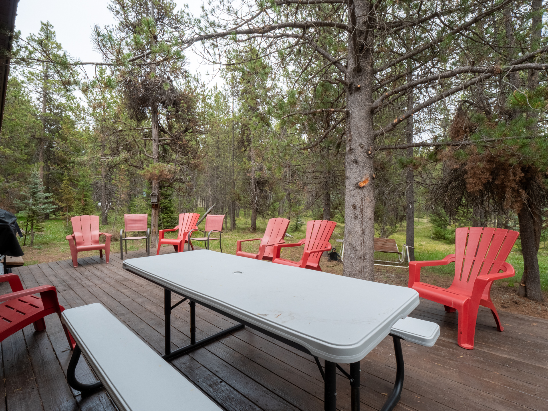 Back Deck to star gaze