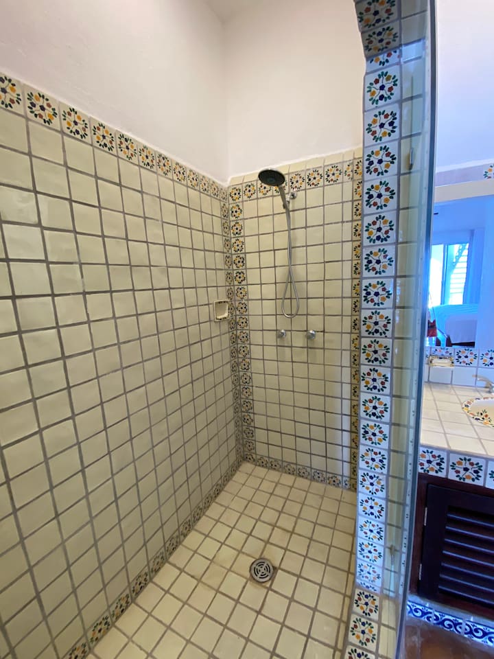 Master Shower
