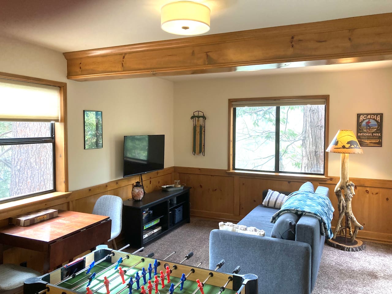 Game Room with Pull-Out Bed