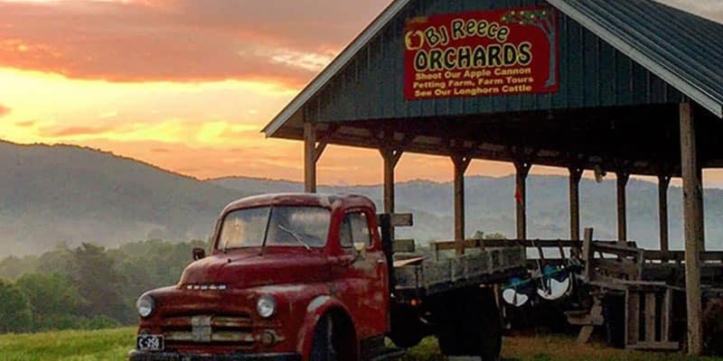 B.J. Reece Orchards in Ellijay Georgia