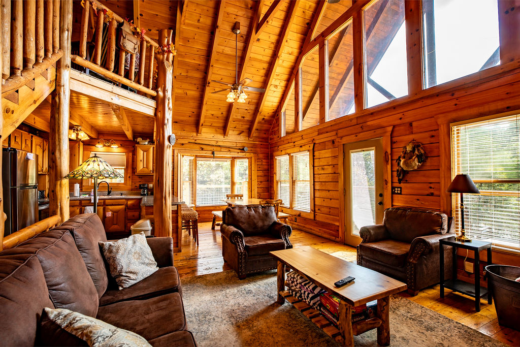 Log cabin living room