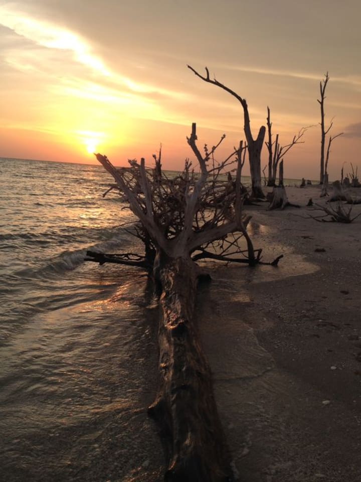 STUMP PASS BEACH STATE PARK 1 MILE WALK DOWN FROM PRIVATE BEACH 