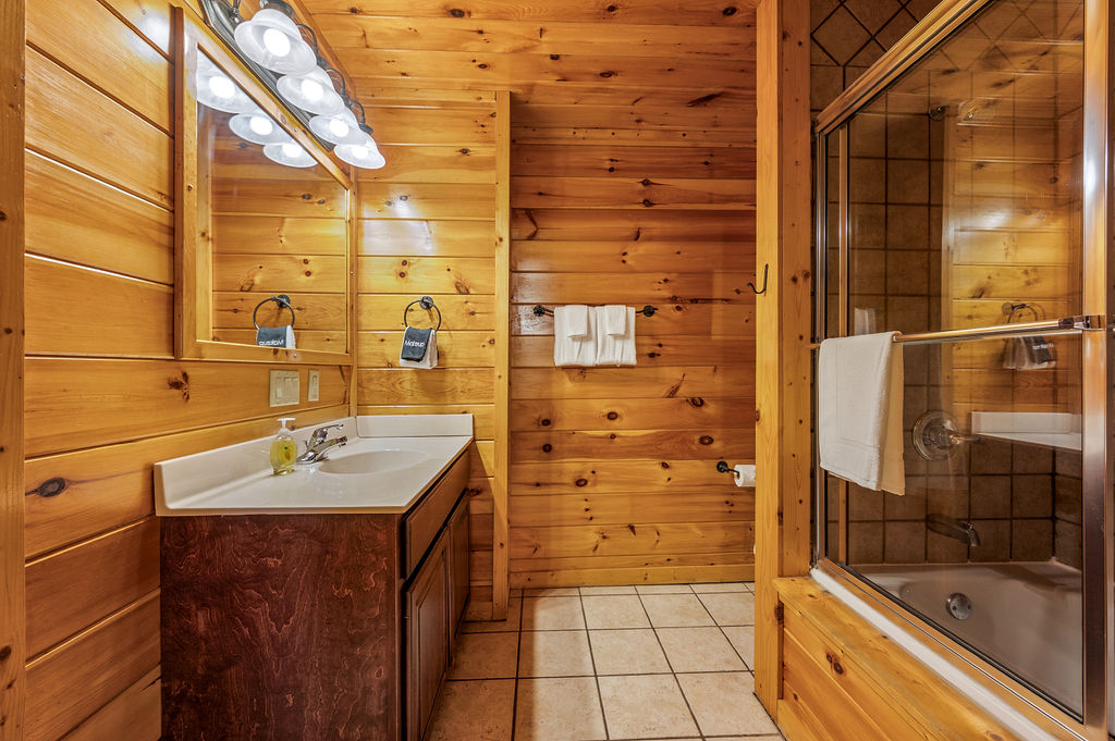 Lower Level Bathroom 1