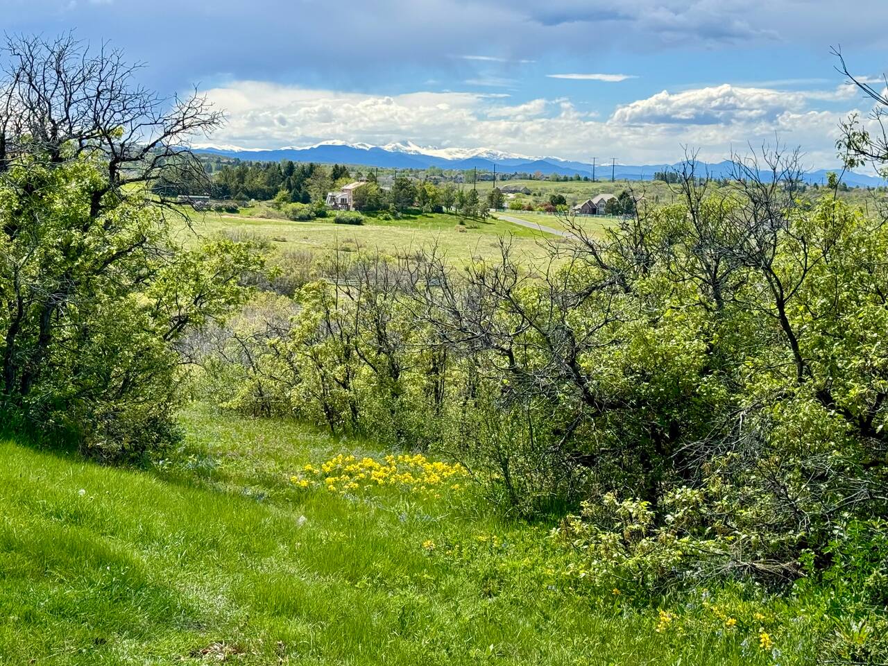 Wildflowers, trail, and views from the driveway.