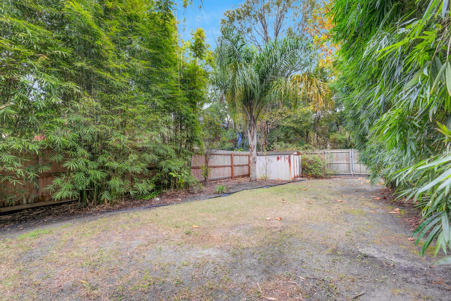 Backyard