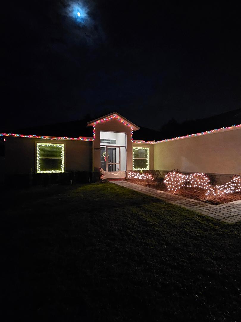 Holiday Lights
