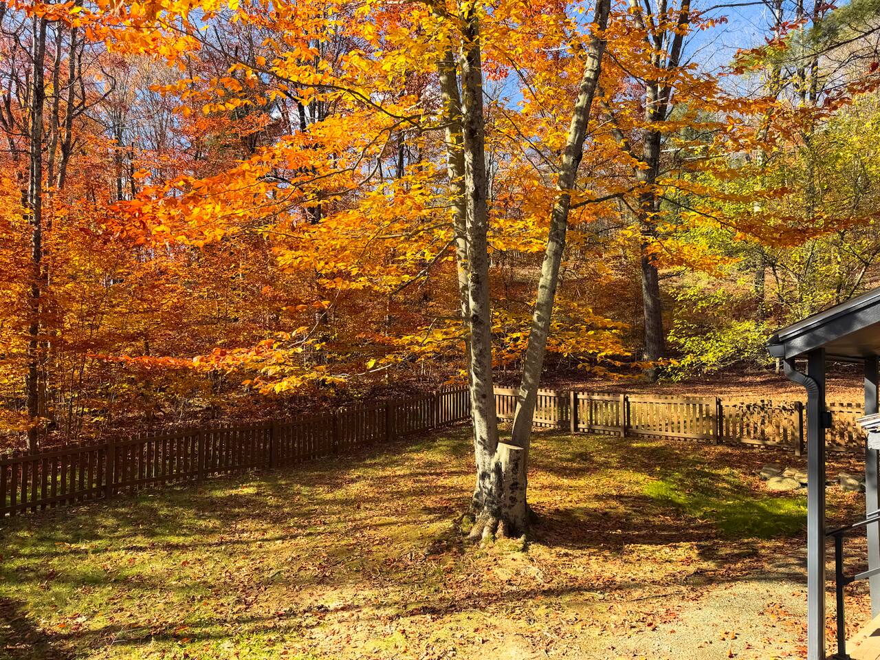 The property sits on 1.8 wooded acres and this fenced in area by the main entrance to the house provides a space for dogs and kids to safely play outside