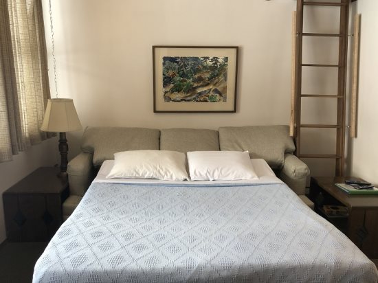 Full-size sleeper sofa.