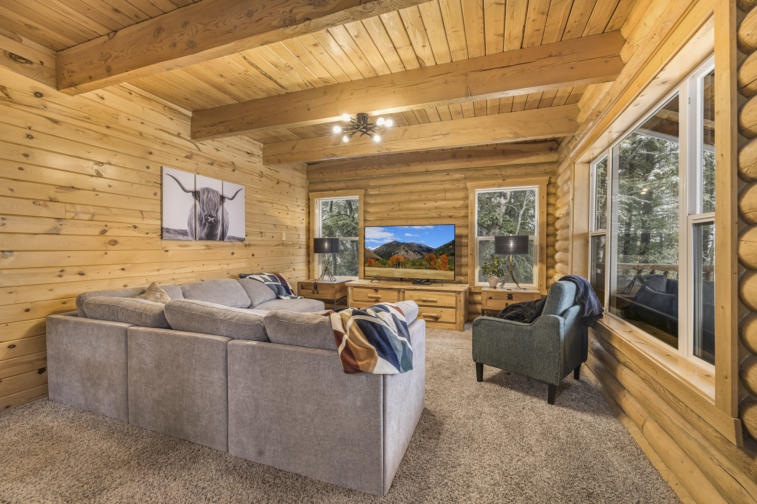 Living room, smart TV 