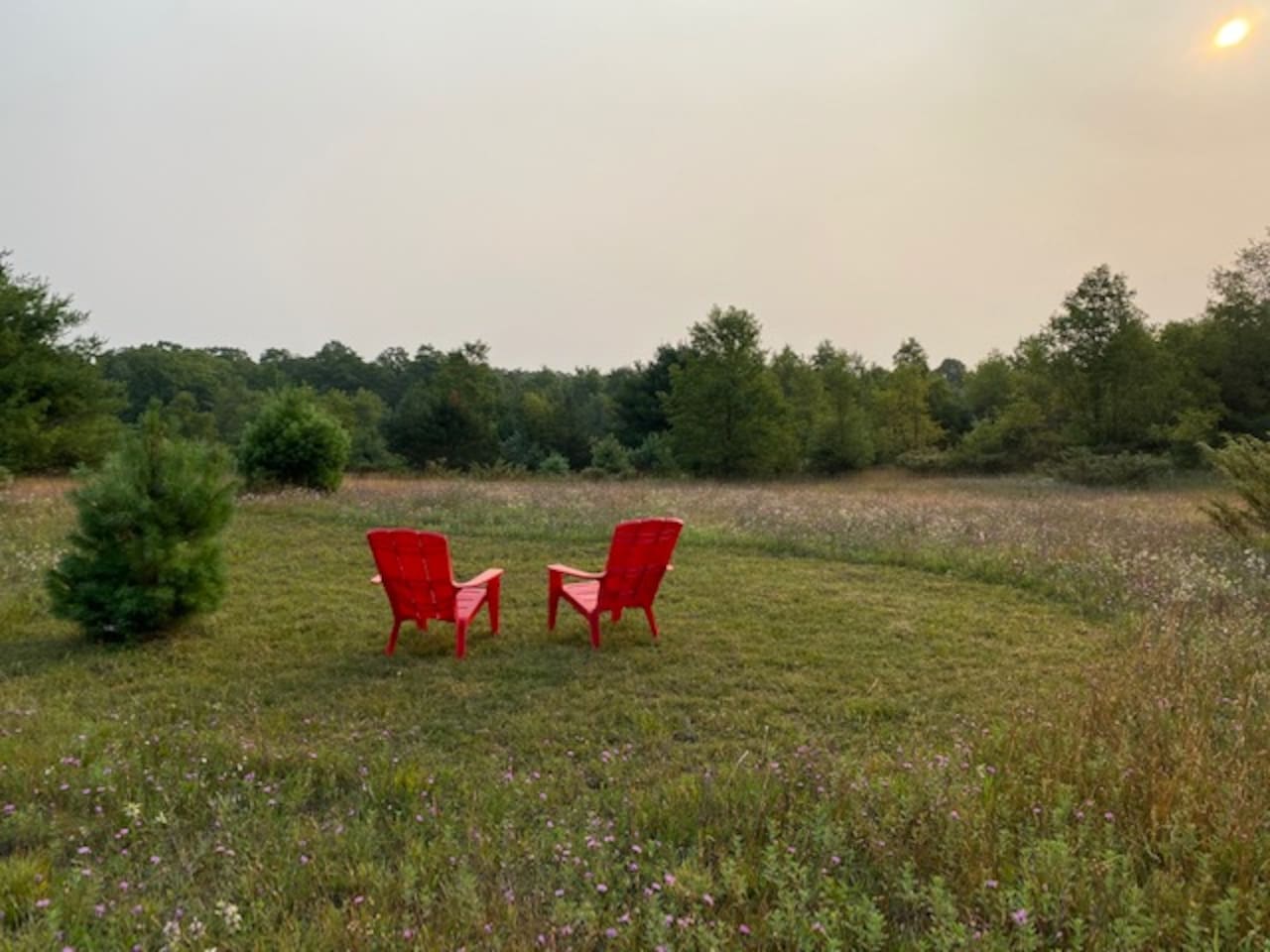 Explore the property and find the perfect spot to relax and enjoy the scenery.