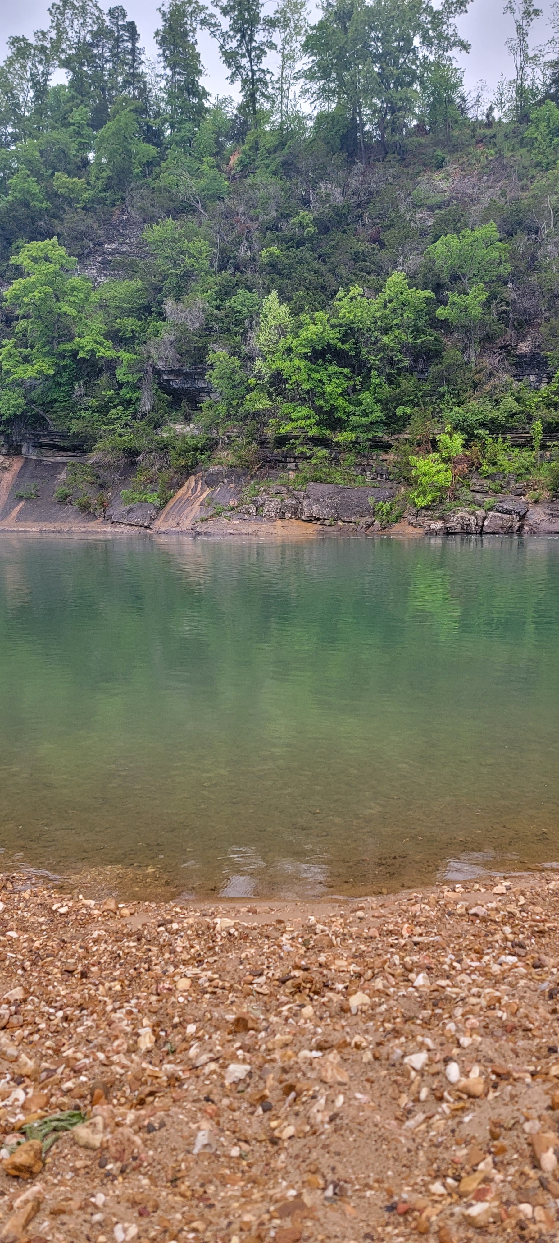 Buffalo River 4.4 Miles From Nature's Loft Retreat