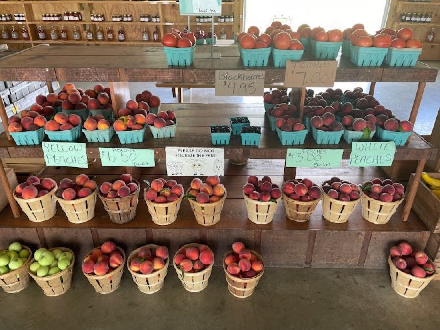 Jenkins Orchards