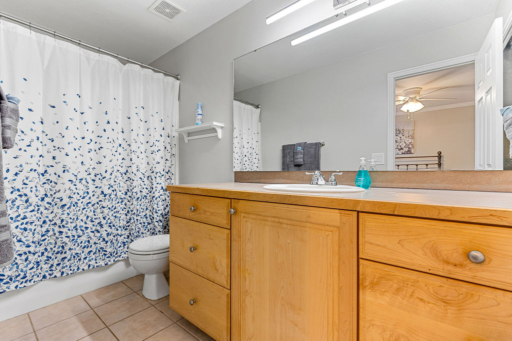 Master bathroom suite and closet