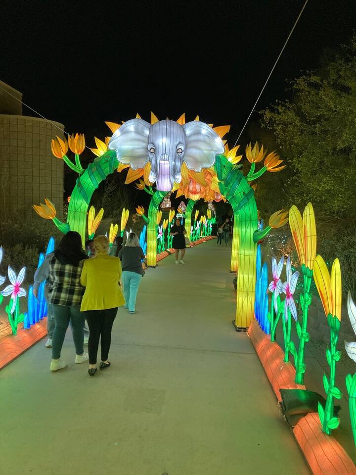 Back in Palm Desert the Living Desert is a nice bike ride away. A walk through the animal exhibits or to feed the giraffes is always relaxing.  Their seasonal events like the Wildlights at Thanksgiving & Christmas is amazing.