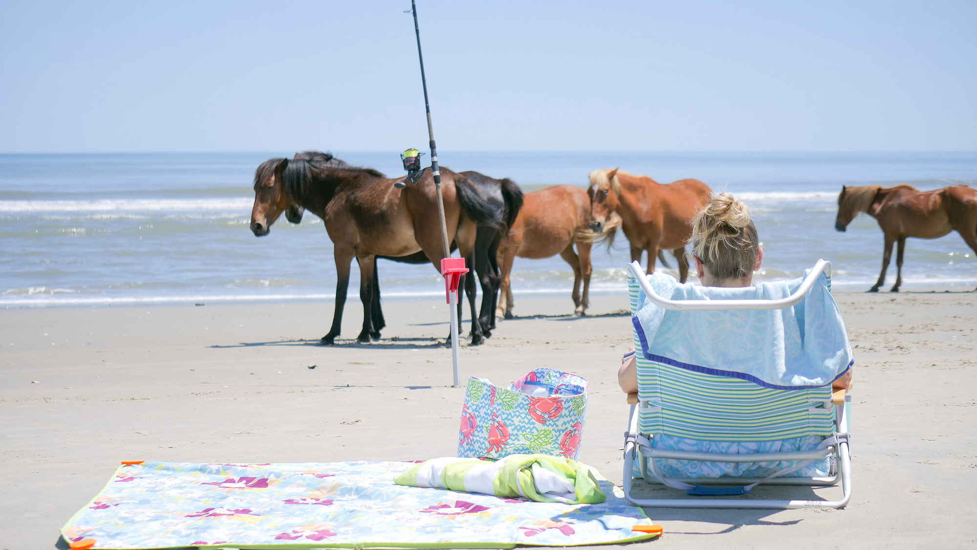 The Hemingway — Oceanfront Views (2)
