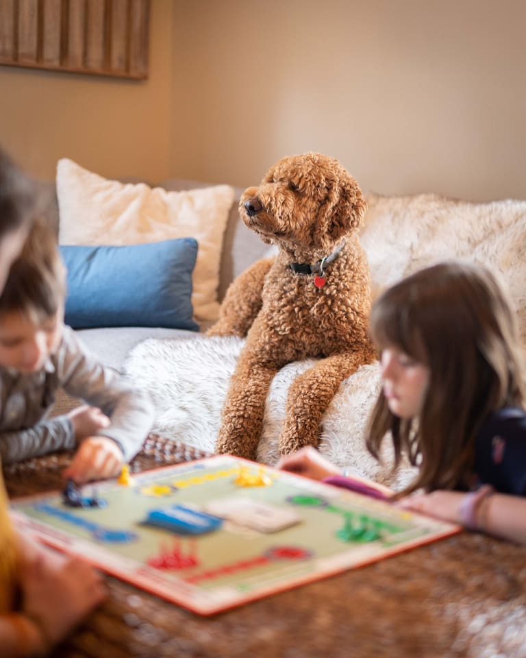 We Love Dogs! Bring Your Buddy Along For ENTIRE Family Time Away.
