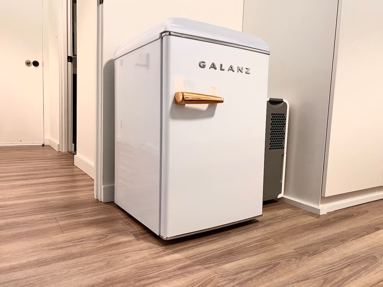 Mini-fridge for beverages and light storage only; no kitchen or food prep facilities.