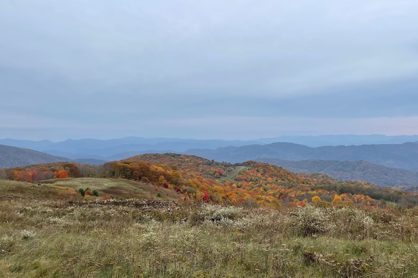 Fall colors from the top of Max Patch